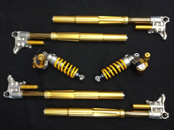 1780755_10151895973586644_202790289_n